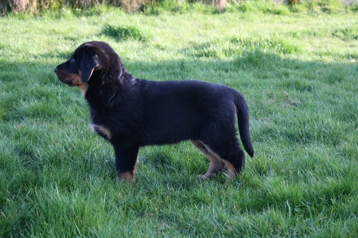 Quanza 16 03 2017 (4)